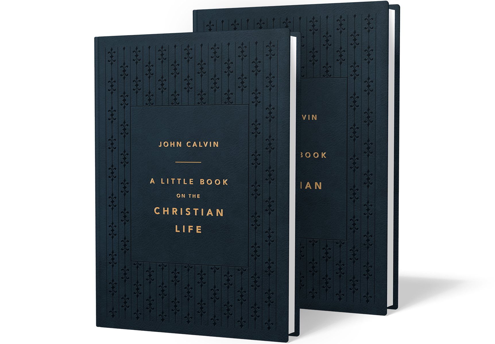 Get Two Copies of John Calvin's 'A Little Book on