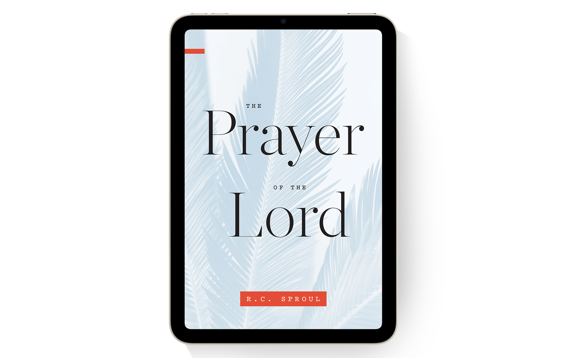 The Prayer of the Lord