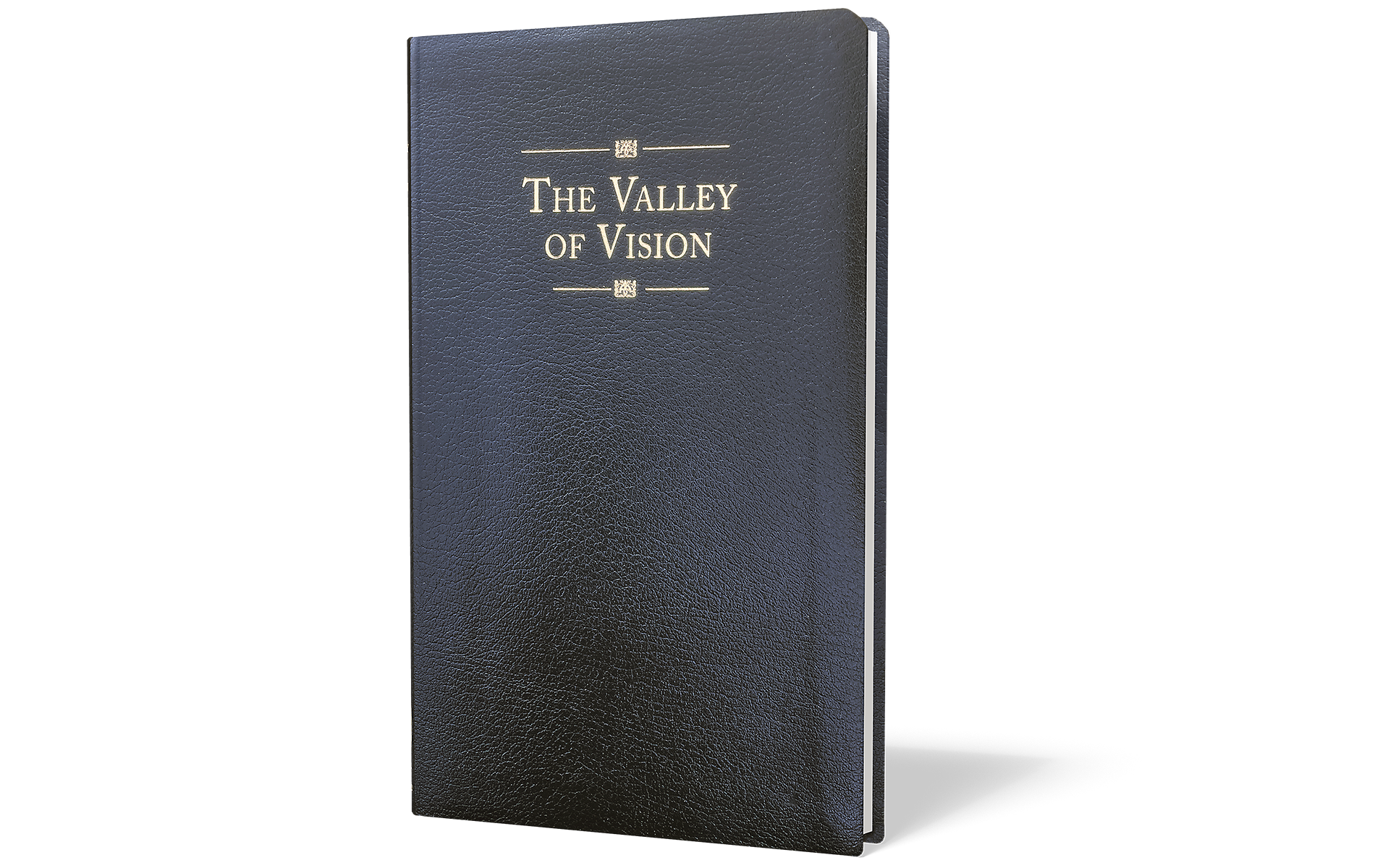 The Valley of Vision