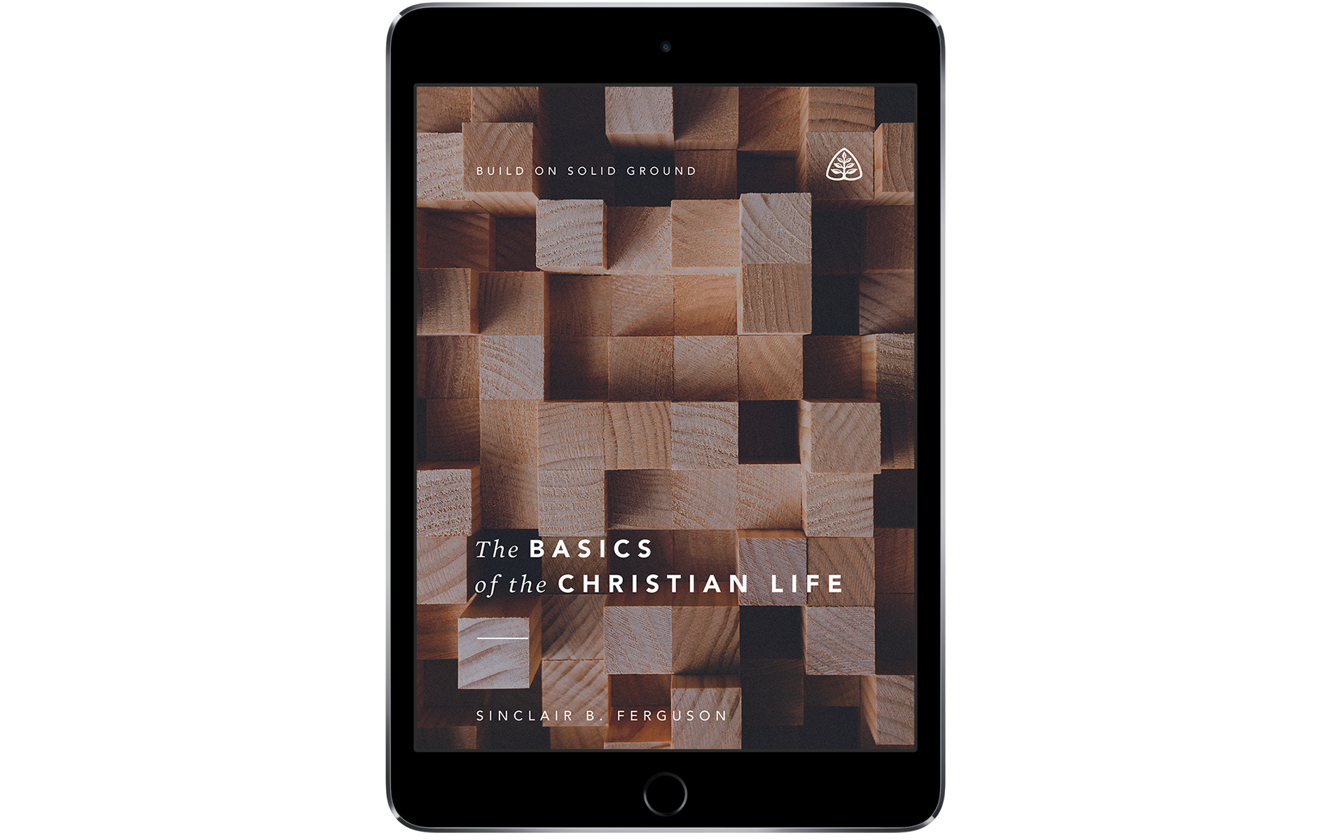 The Basics of the Christian Life