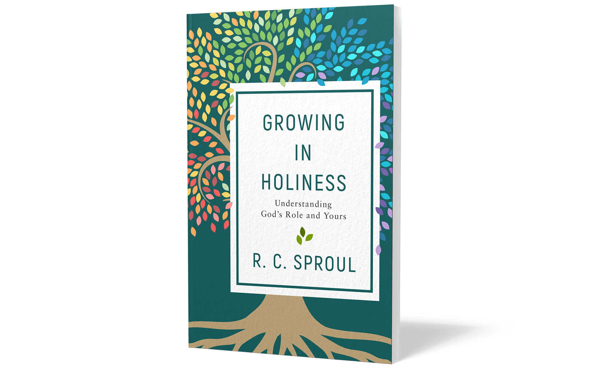 Growing in Holiness