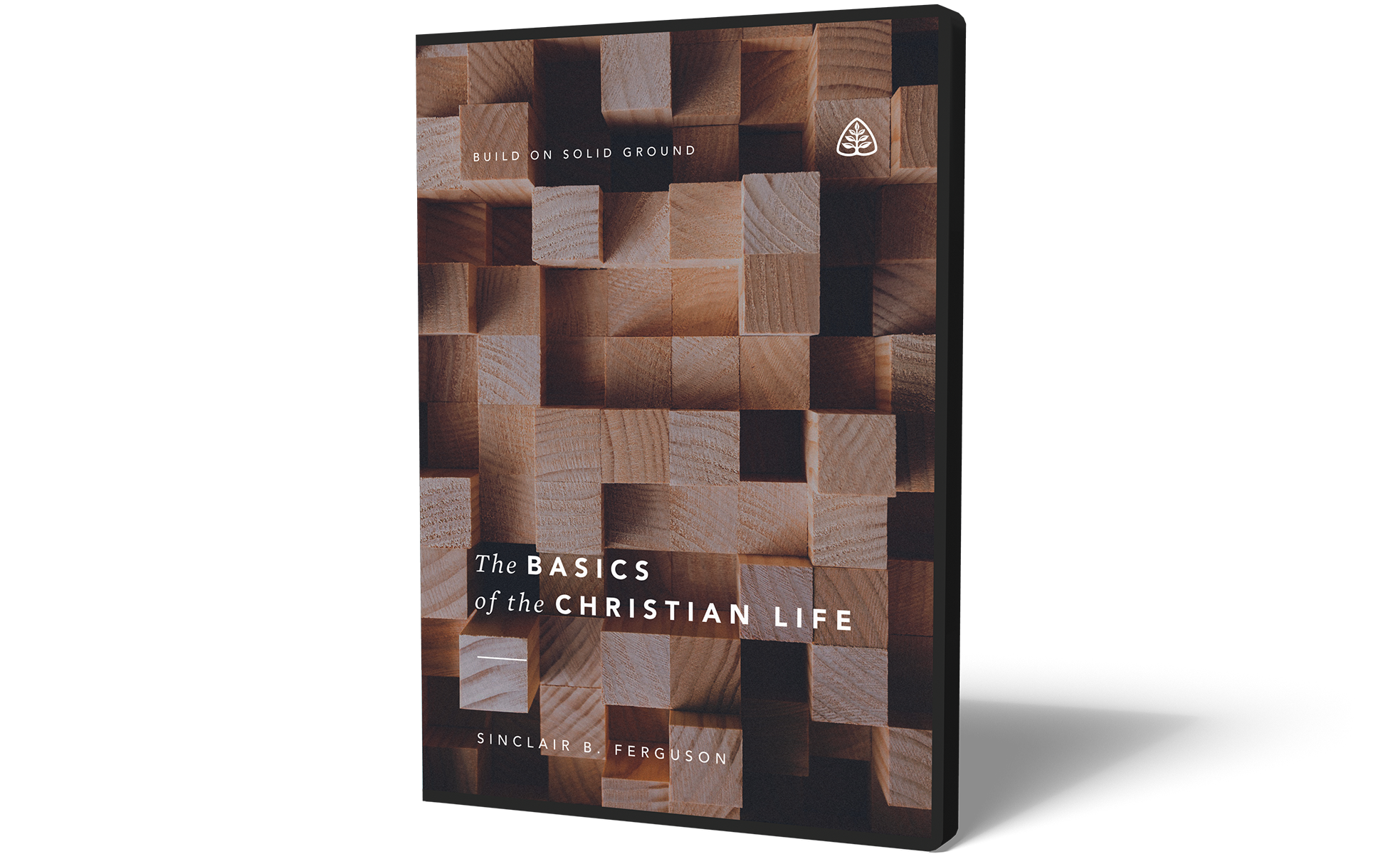 The Basics of the Christian Life