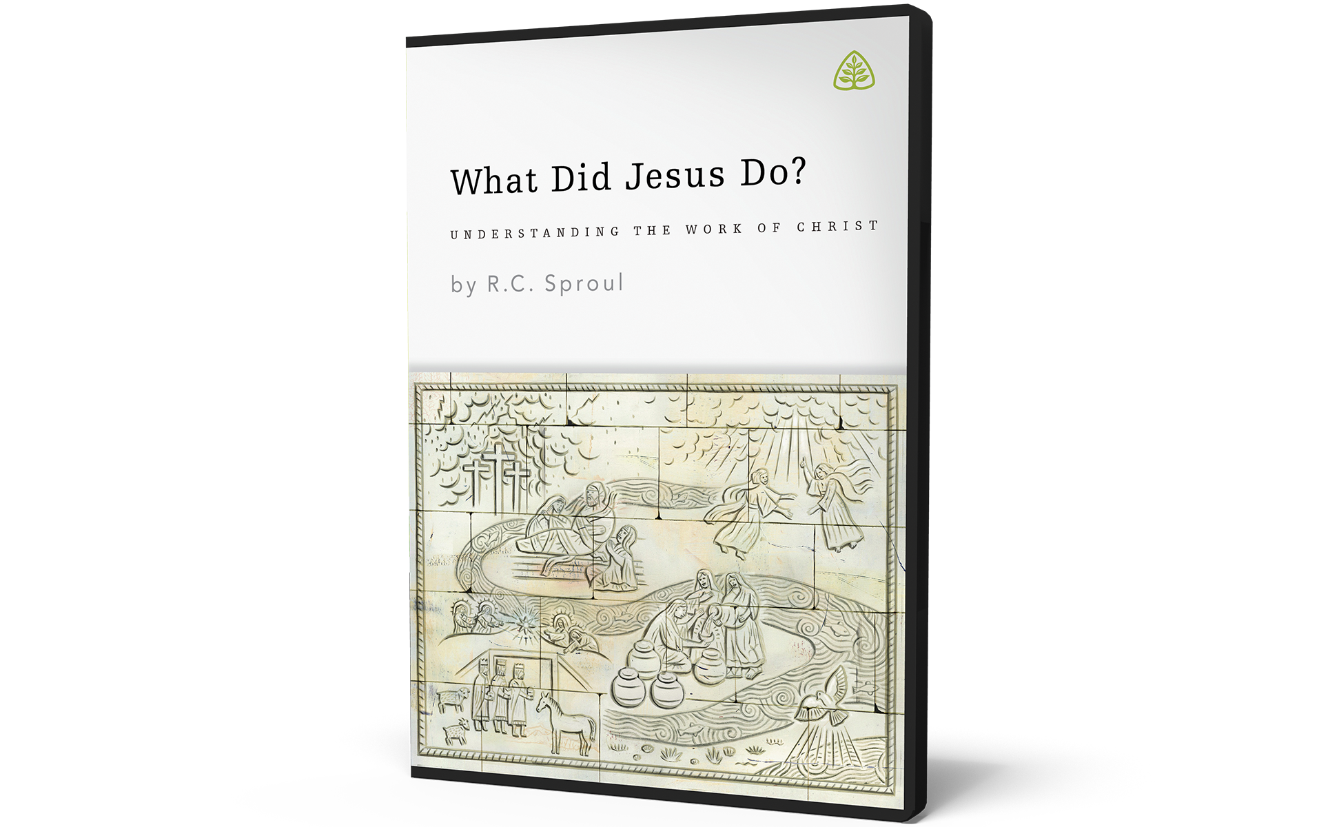 What Did Jesus Do?: Understanding the Work of Christ
