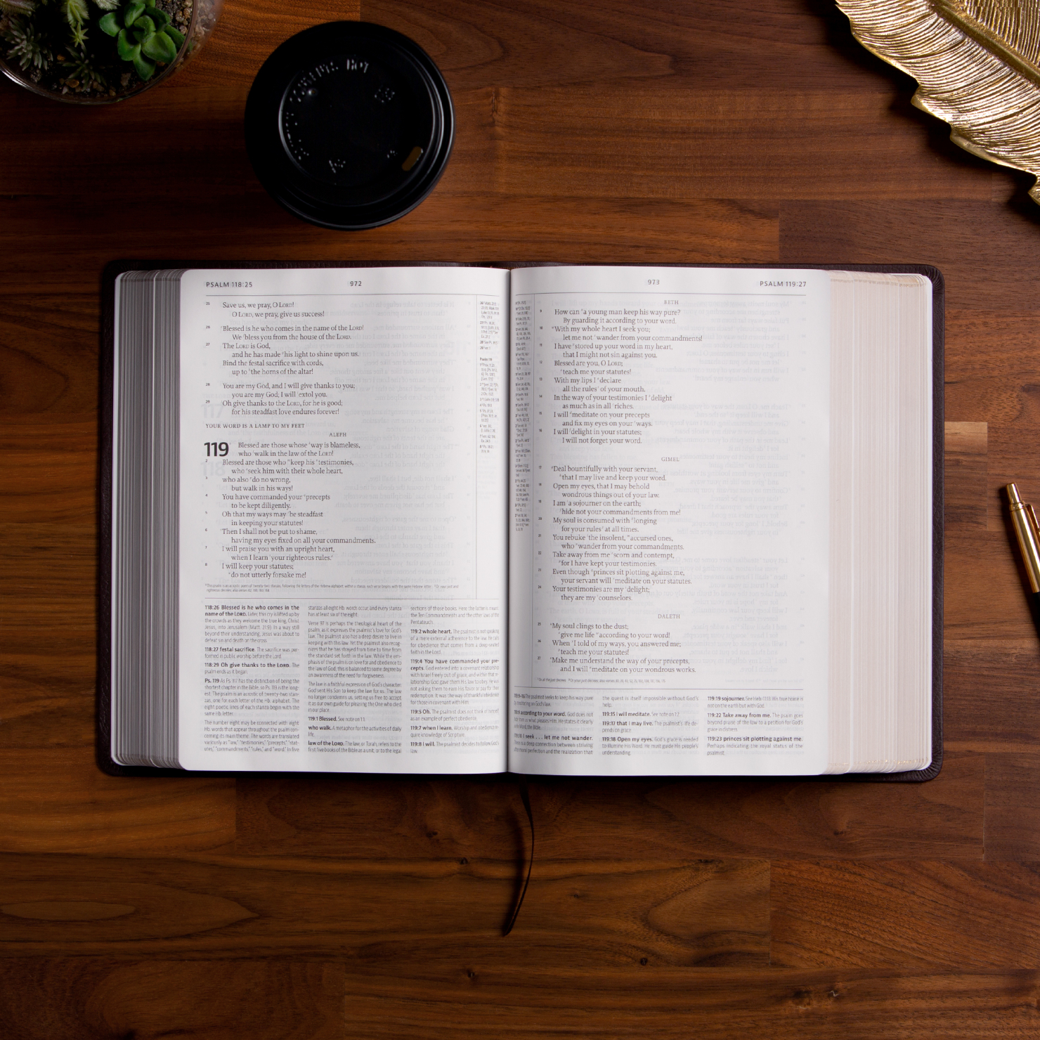{Not for Sale} 2025 Tabletalk Bible Reading Plan (PDF}