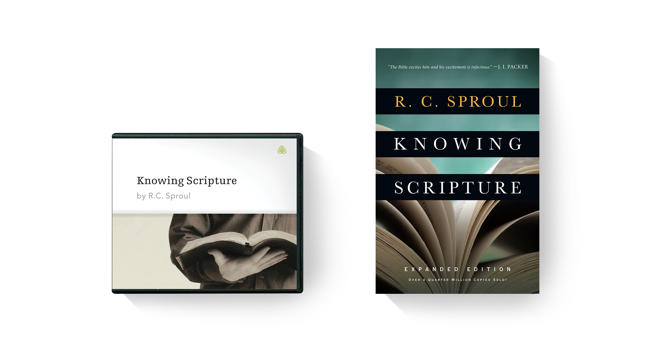 Knowing Scripture
