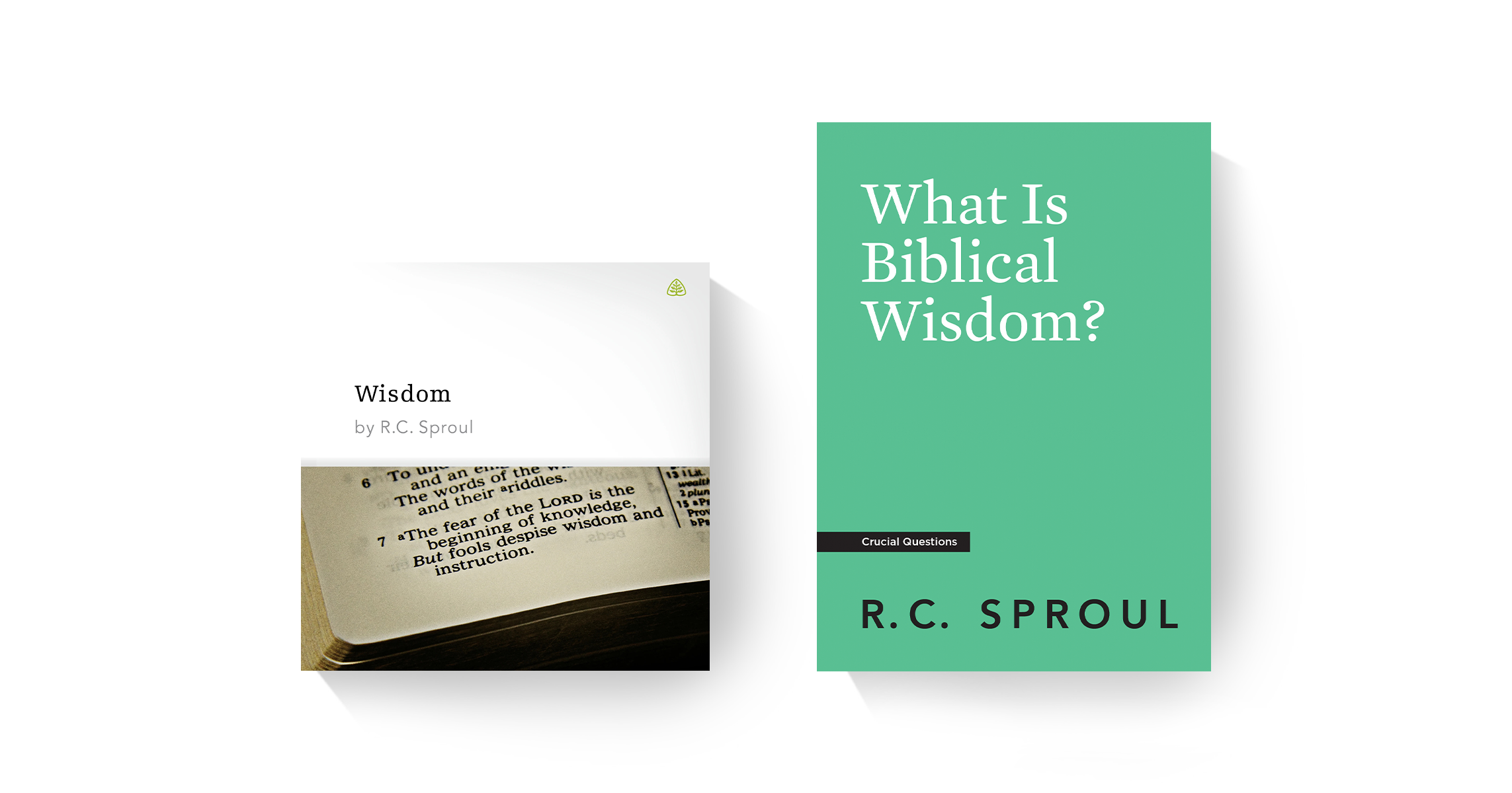 What Is Biblical Wisdom?
