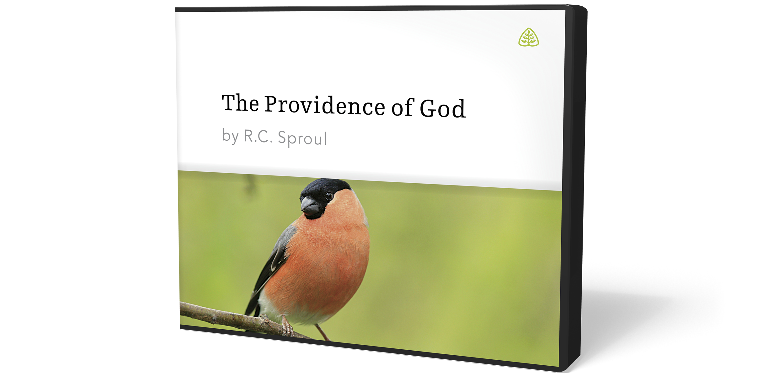 The Providence of God